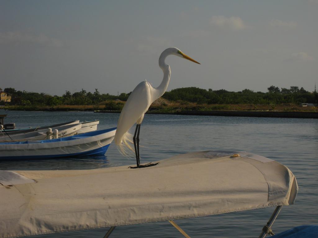Laru Beya Resort Placencia ภายนอก รูปภาพ